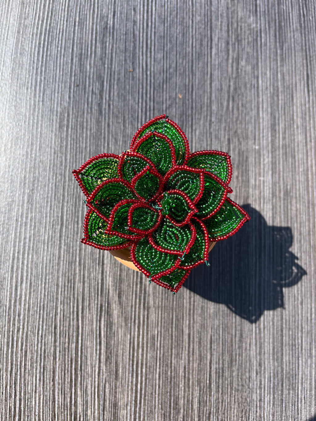 French beaded succulent