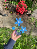 Mini blue French beaded flowers